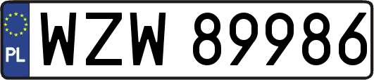 WZW89986