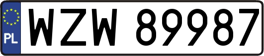 WZW89987