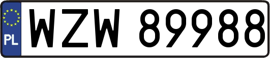 WZW89988