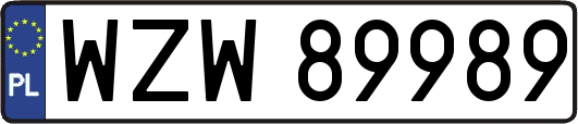 WZW89989