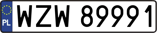 WZW89991