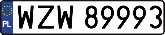 WZW89993