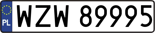 WZW89995