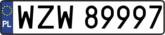 WZW89997