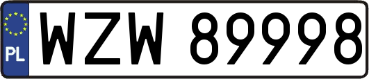 WZW89998