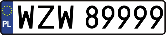 WZW89999