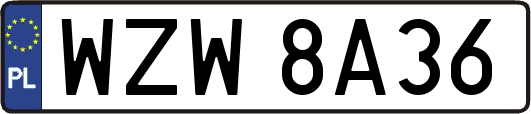 WZW8A36