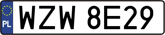 WZW8E29