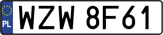 WZW8F61