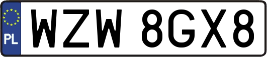 WZW8GX8
