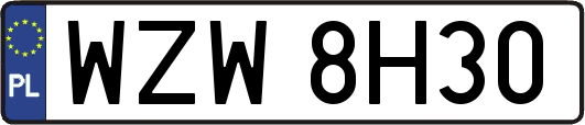 WZW8H30