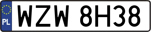 WZW8H38