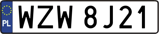 WZW8J21