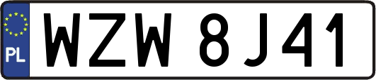 WZW8J41