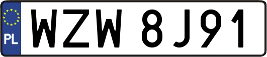 WZW8J91