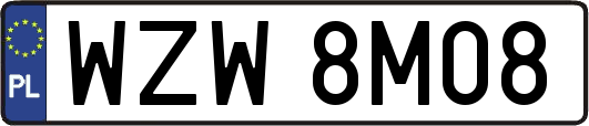 WZW8M08