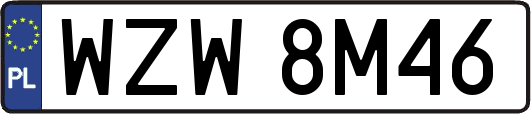 WZW8M46