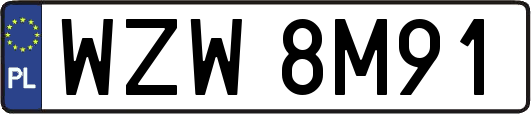 WZW8M91