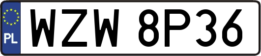 WZW8P36