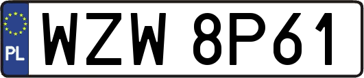 WZW8P61