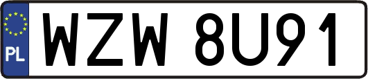 WZW8U91
