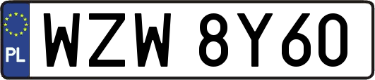 WZW8Y60