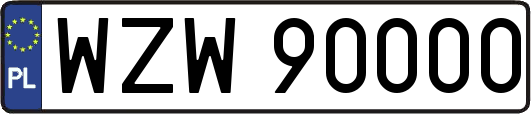 WZW90000