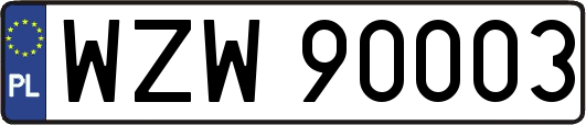 WZW90003