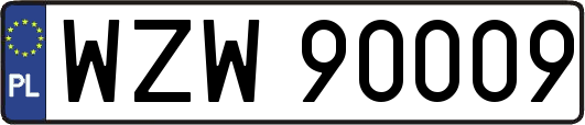 WZW90009