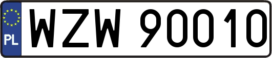 WZW90010