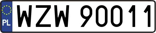 WZW90011