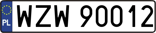 WZW90012