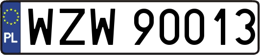WZW90013