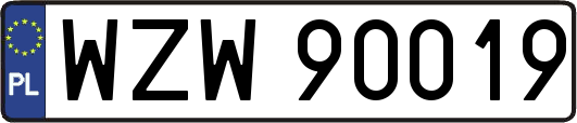 WZW90019