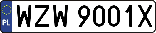 WZW9001X