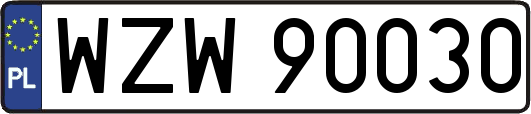 WZW90030