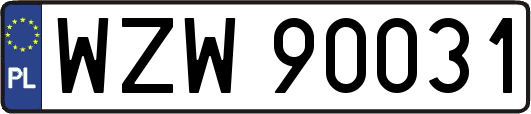 WZW90031