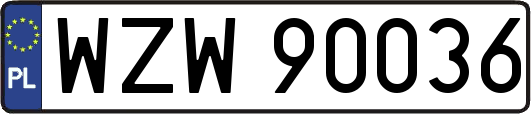 WZW90036