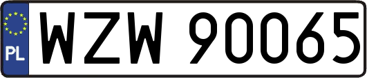 WZW90065