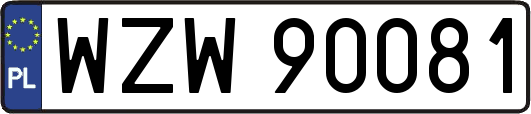 WZW90081