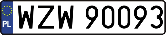 WZW90093
