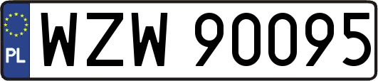 WZW90095