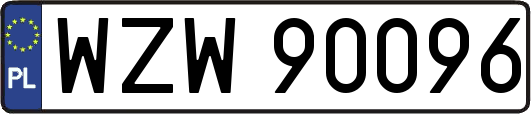 WZW90096