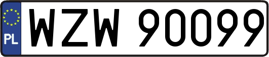 WZW90099