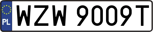 WZW9009T