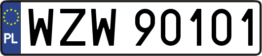 WZW90101