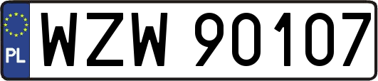 WZW90107