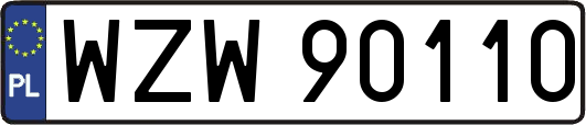 WZW90110