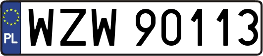 WZW90113