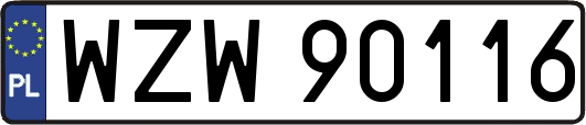 WZW90116